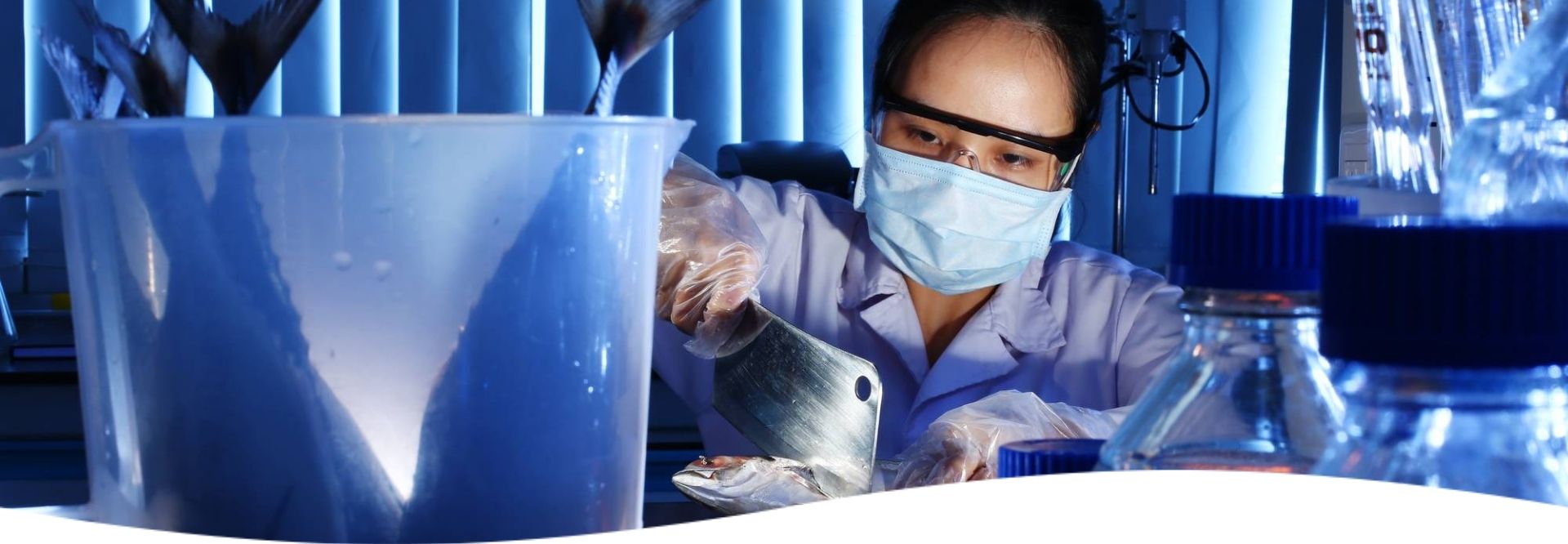 Szkolenie Food Fraud w TÜV Rheinland Szkolenie Food Fraud w TÜV Rheinland